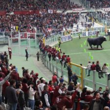 Stade olympique de Turin