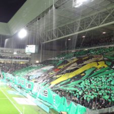 Geoffroy-Guichard