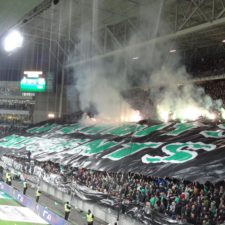 Geoffroy-Guichard